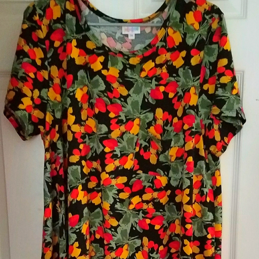 Lularoe Size 2X Floral Print Dress